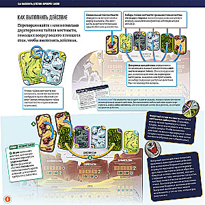 Board Game - Wolves